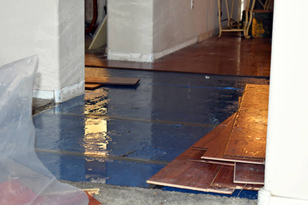 Professional Emergency Water Damage Restoration technician working in Dorchester, MA